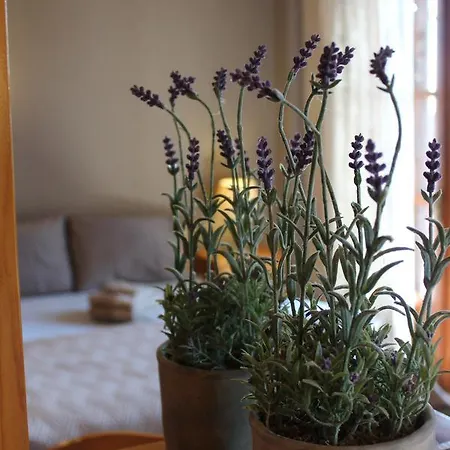 Ξενοδοχείο Defkalion 2*